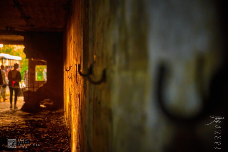 Corregidor Island Dark Tour 2025-11-22 2025-11-22 PS521314 1 marianosayno 0