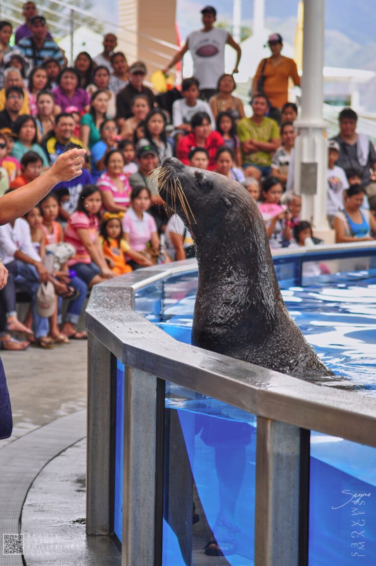 Ocean Adventure Subic Zambales 2011-05-29 2011-05-29 DSC_0263 marianosayno