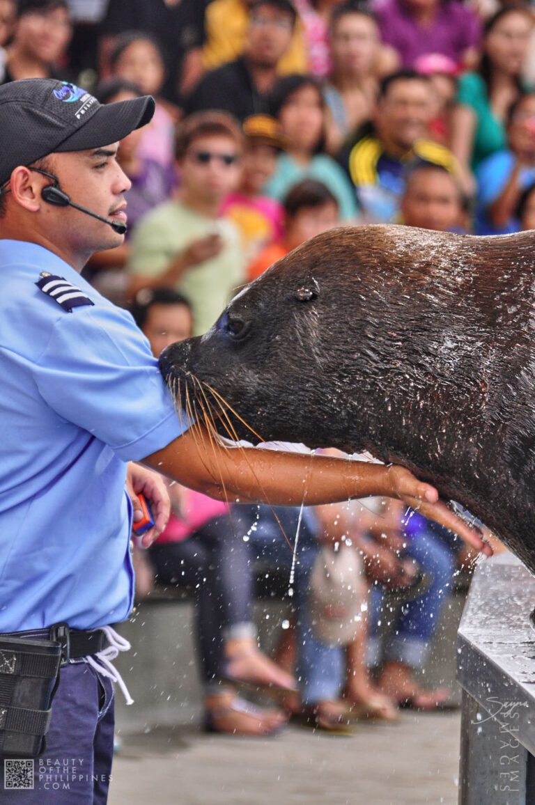 Ocean Adventure Subic Zambales 2011-05-29 2011-05-29 DSC_0264 marianosayno