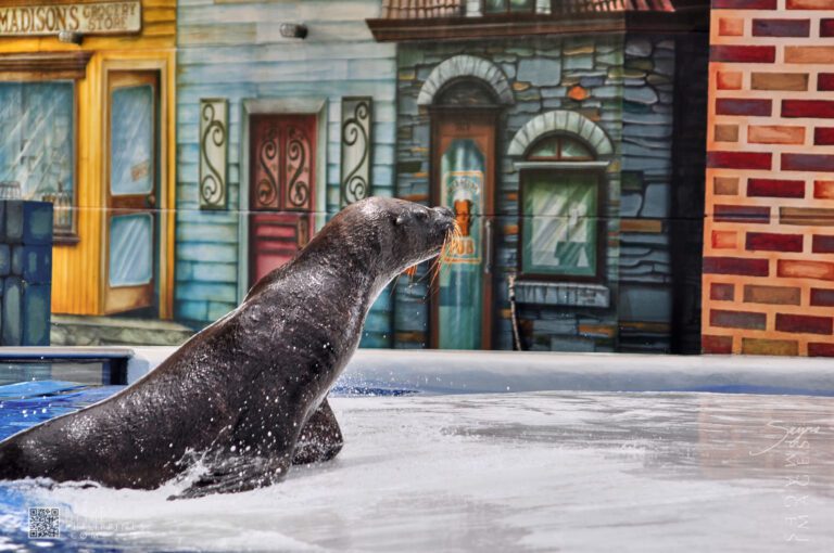 Ocean Adventure Subic Zambales 2011-05-29 2011-05-29 DSC_0285 marianosayno 1