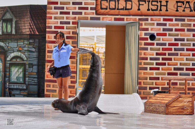 Ocean Adventure Subic Zambales 2011-05-29 2011-05-29 DSC_0306 marianosayno 1