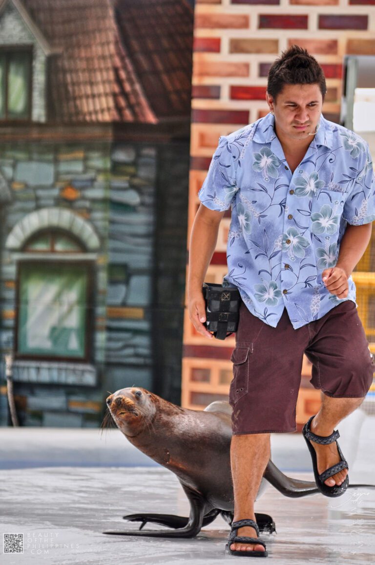 Ocean Adventure Subic Zambales 2011-05-29 2011-05-29 DSC_0322 marianosayno