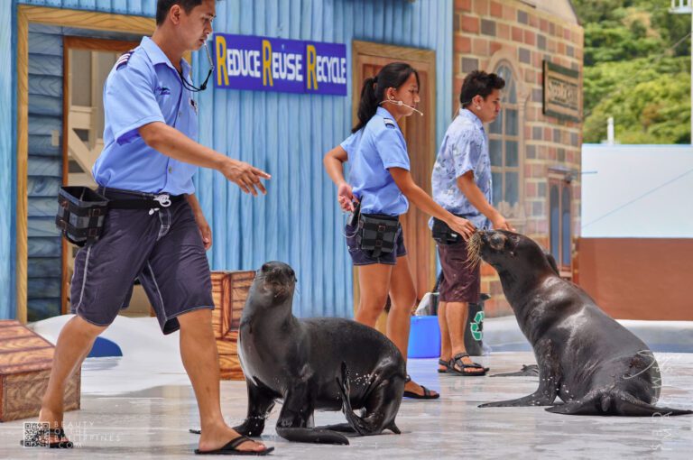 Ocean Adventure Subic Zambales 2011-05-29 2011-05-29 DSC_0327 marianosayno 1