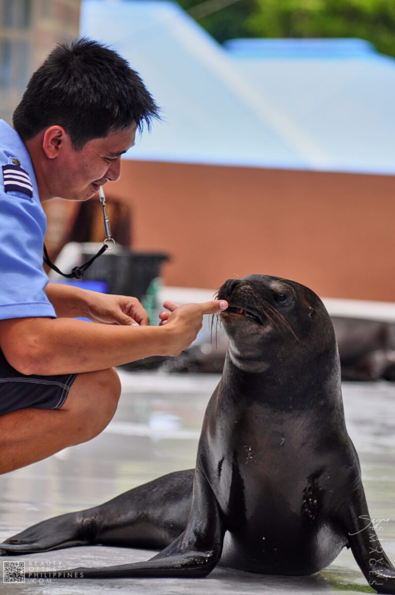 Ocean Adventure Subic Zambales 2011-05-29 2011-05-29 DSC_0341 marianosayno