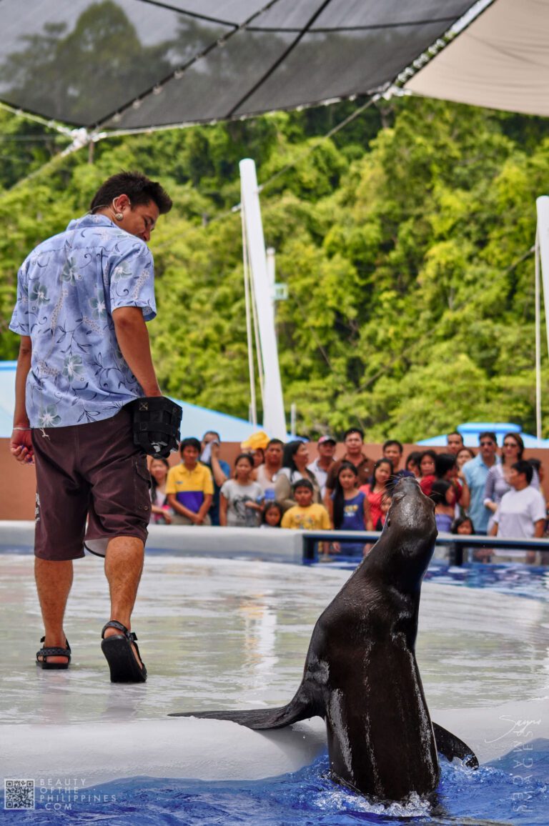 Ocean Adventure Subic Zambales 2011-05-29 2011-05-29 DSC_0347 marianosayno