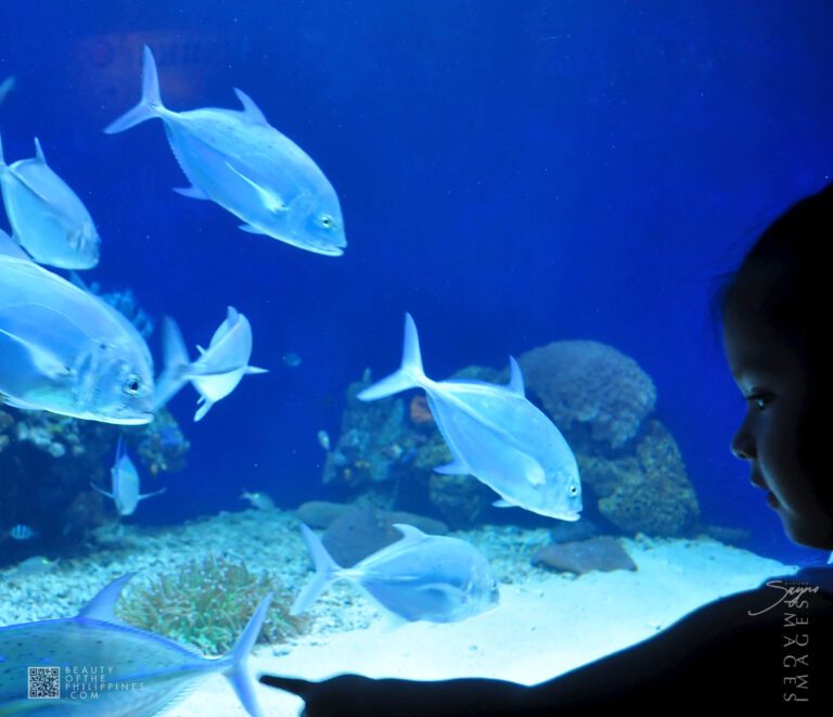 Ocean Adventure Subic Zambales 2011-05-29 2011-05-29 DSC_0388 marianosayno 1 1