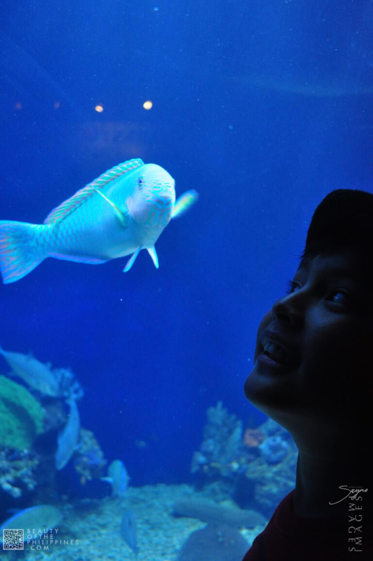 Ocean Adventure Subic Zambales 2011-05-29 2011-05-29 DSC_0397 marianosayno