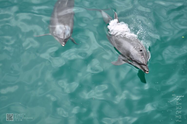Ocean Adventure Subic Zambales 2011-05-29 2011-05-29 DSC_2935 marianosayno 1