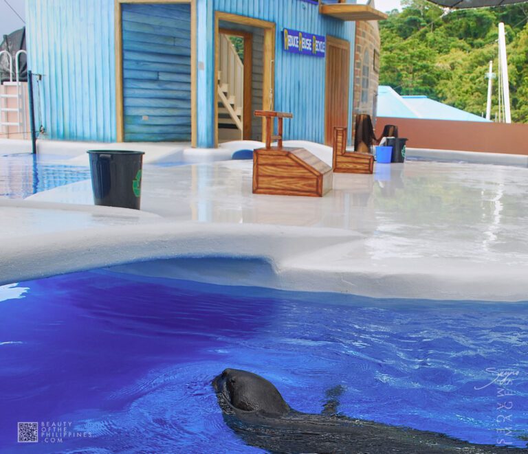 Ocean Adventure Subic Zambales 2011-05-29 2011-05-29 DSC_8151 marianosayno 1