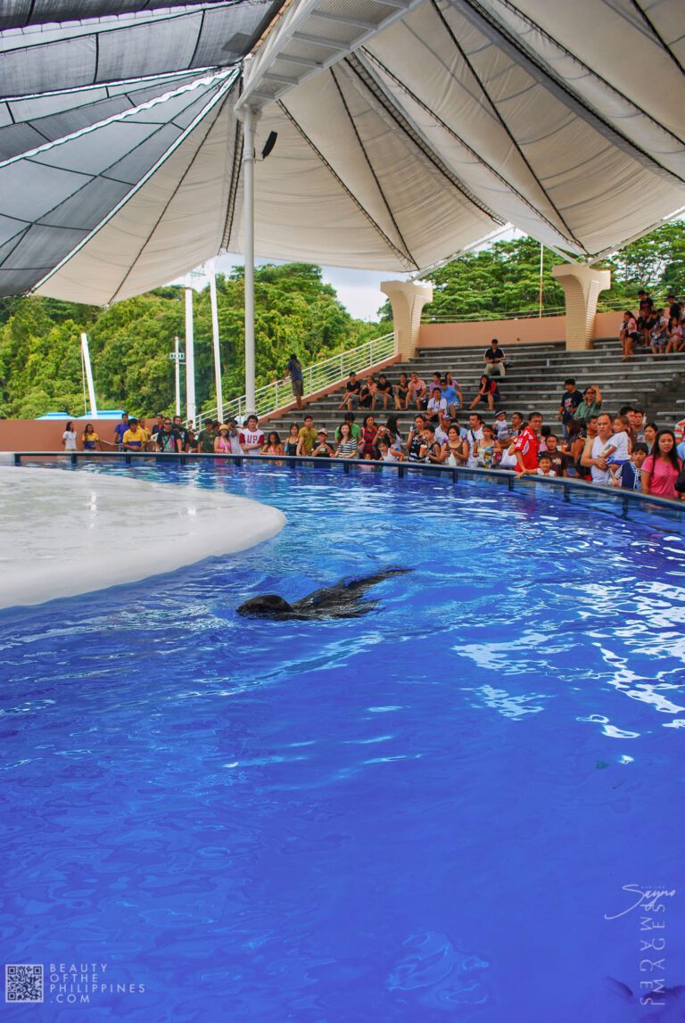 Ocean Adventure Subic Zambales 2011-05-29 2011-05-29 DSC_8152 marianosayno