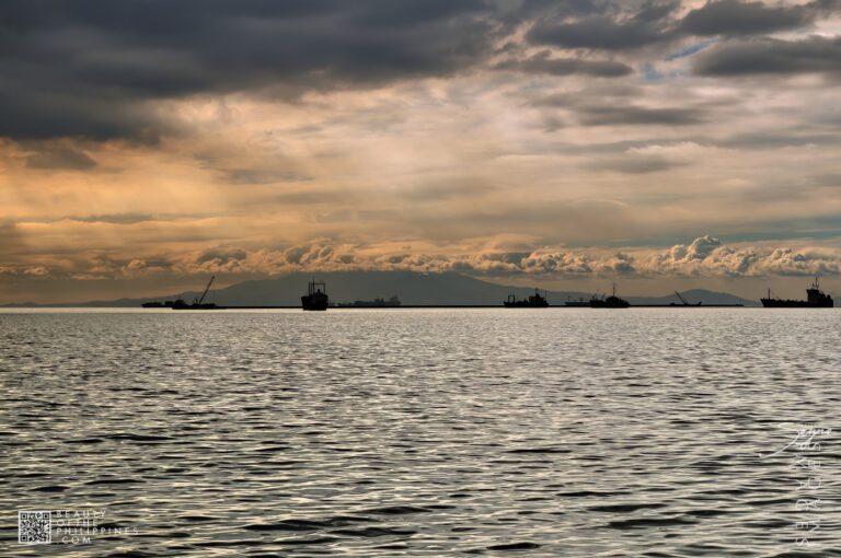 Raja Sulayman Park Manila 2011-01-23 2011-01-23 DSC_1711 marianosayno 0