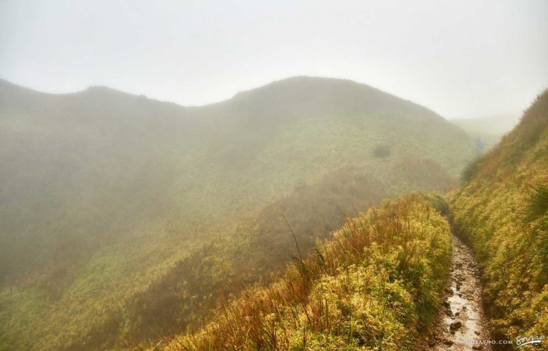 Mount Pulag