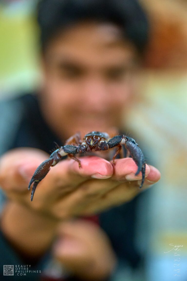 Insectlandia Clark 2025-08-17 2025-08-17 PS525486 1