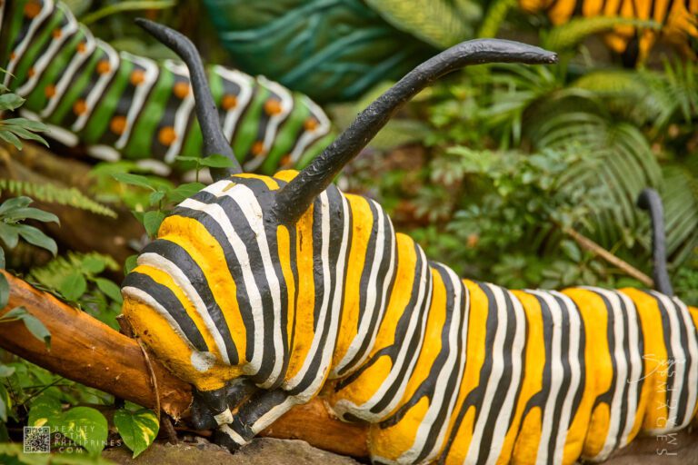 Insectlandia Clark 2025-08-17 Insectlandia Clark 2025-08-17 PS525502 1 0