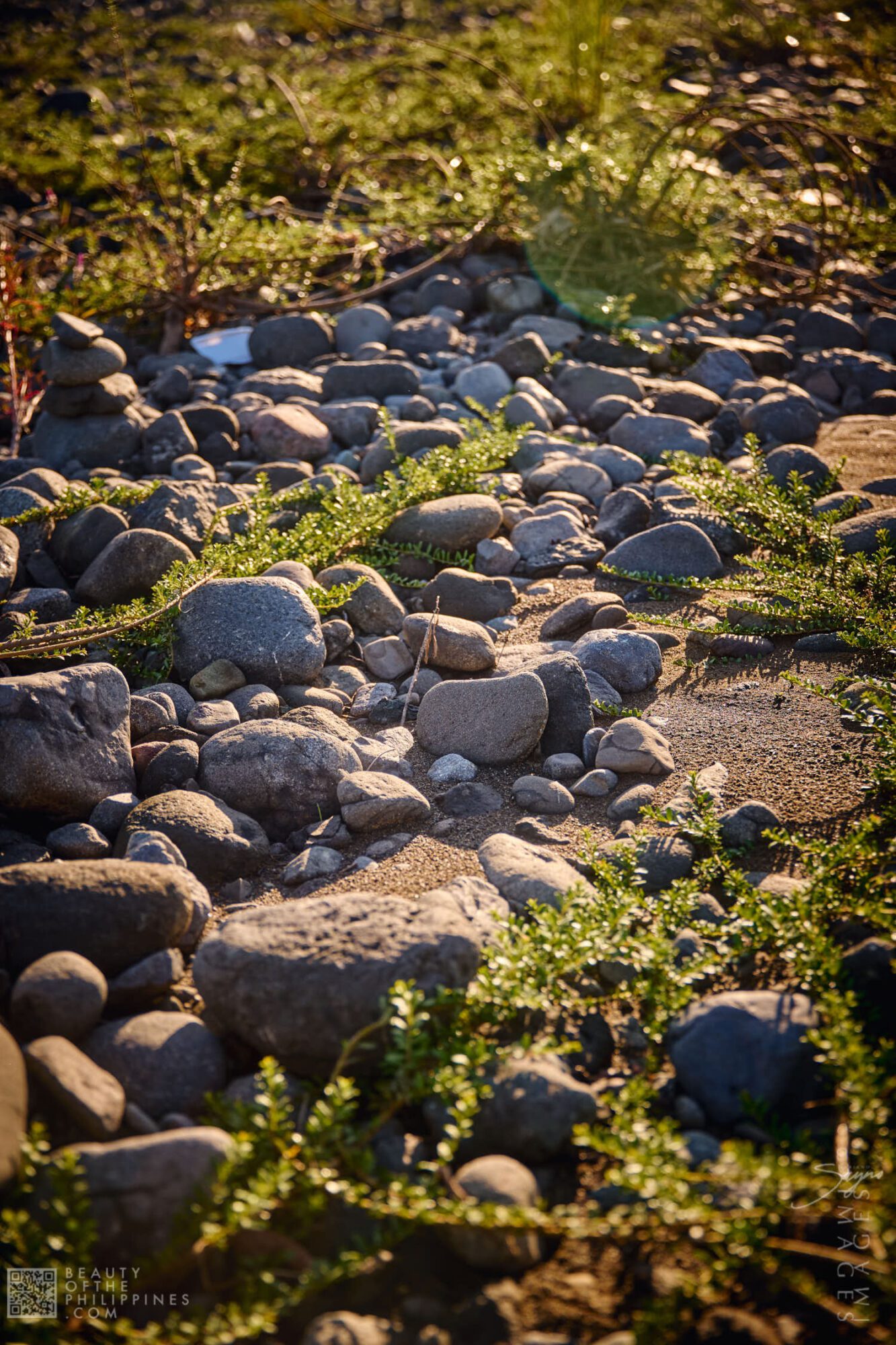 Agos River: A Working Landscape of Water, Food and Community in Infanta ...