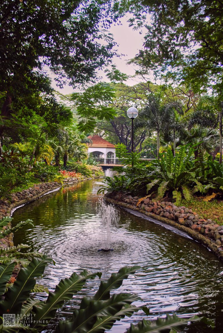 Washington SyCip Park Makati 2009-01-12 DSC_6026 marianosayno