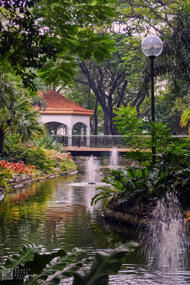 Washington SyCip Park Makati 2009-01-12 DSC_6030 marianosayno