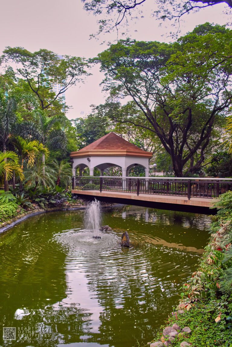 Washington SyCip Park Makati 2009-01-12 DSC_6039 marianosayno