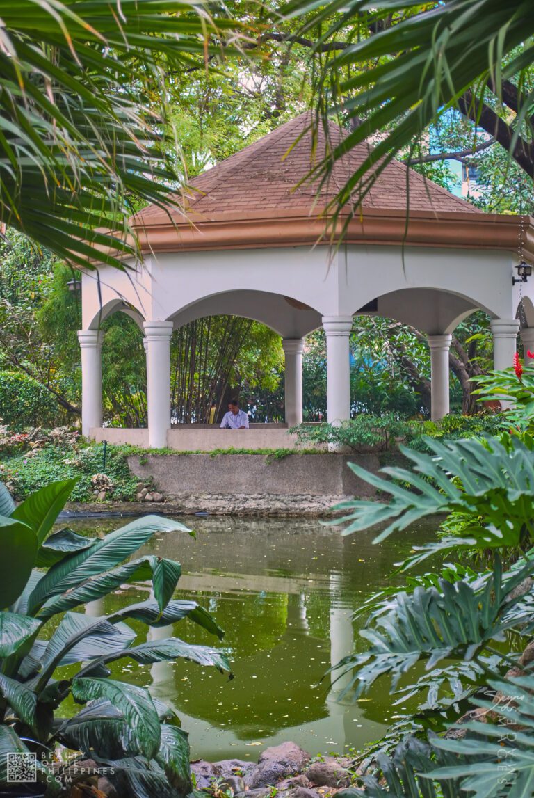 Washington SyCip Park Makati 2009-01-12 DSC_6047 marianosayno