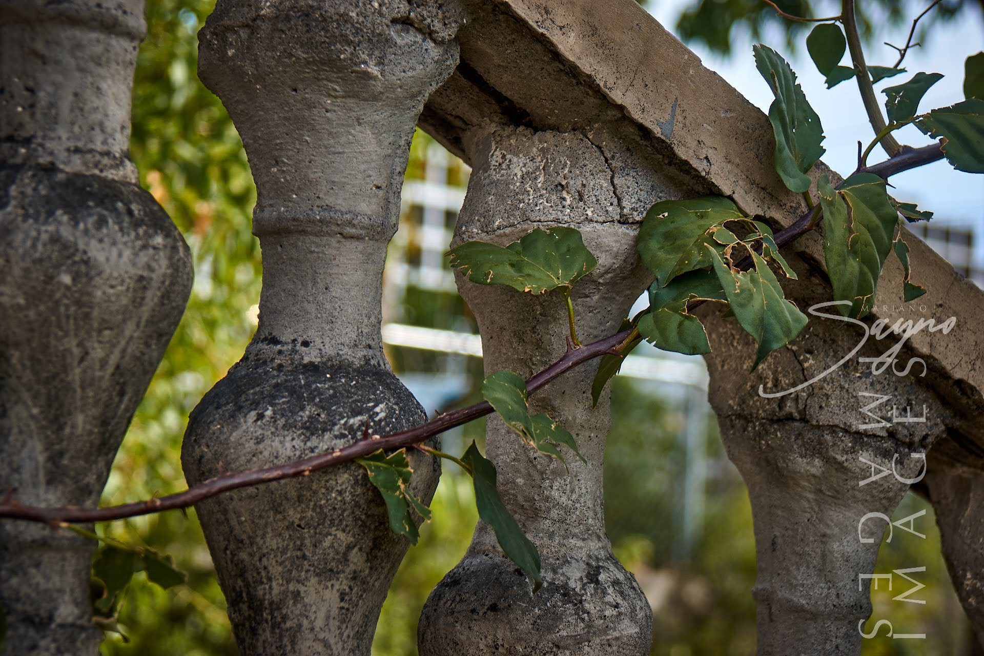 Taguig Simborio: Taguig’s Link to Its Burial Grounds of the Past | The ...