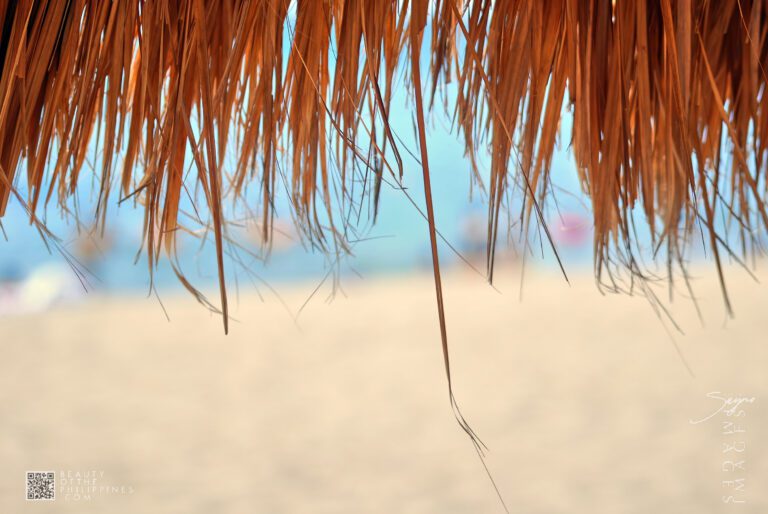 Laiya Beach San Juan Batangas 2009-04-10 DSC_9608 marianosayno 0