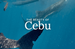 Philippines By Mariano Sayno - The Beauty Of The Philippines