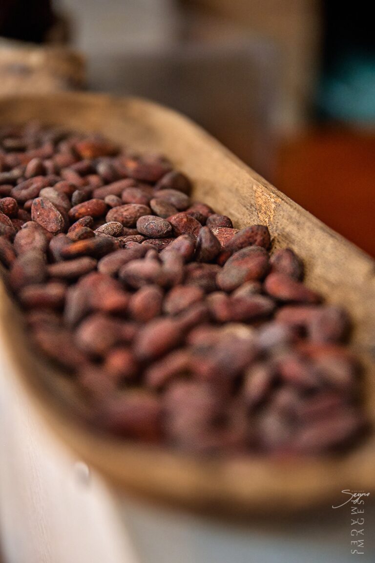 Dulche Chocolates 2025-11-19 PS529754 Mariano Sayno