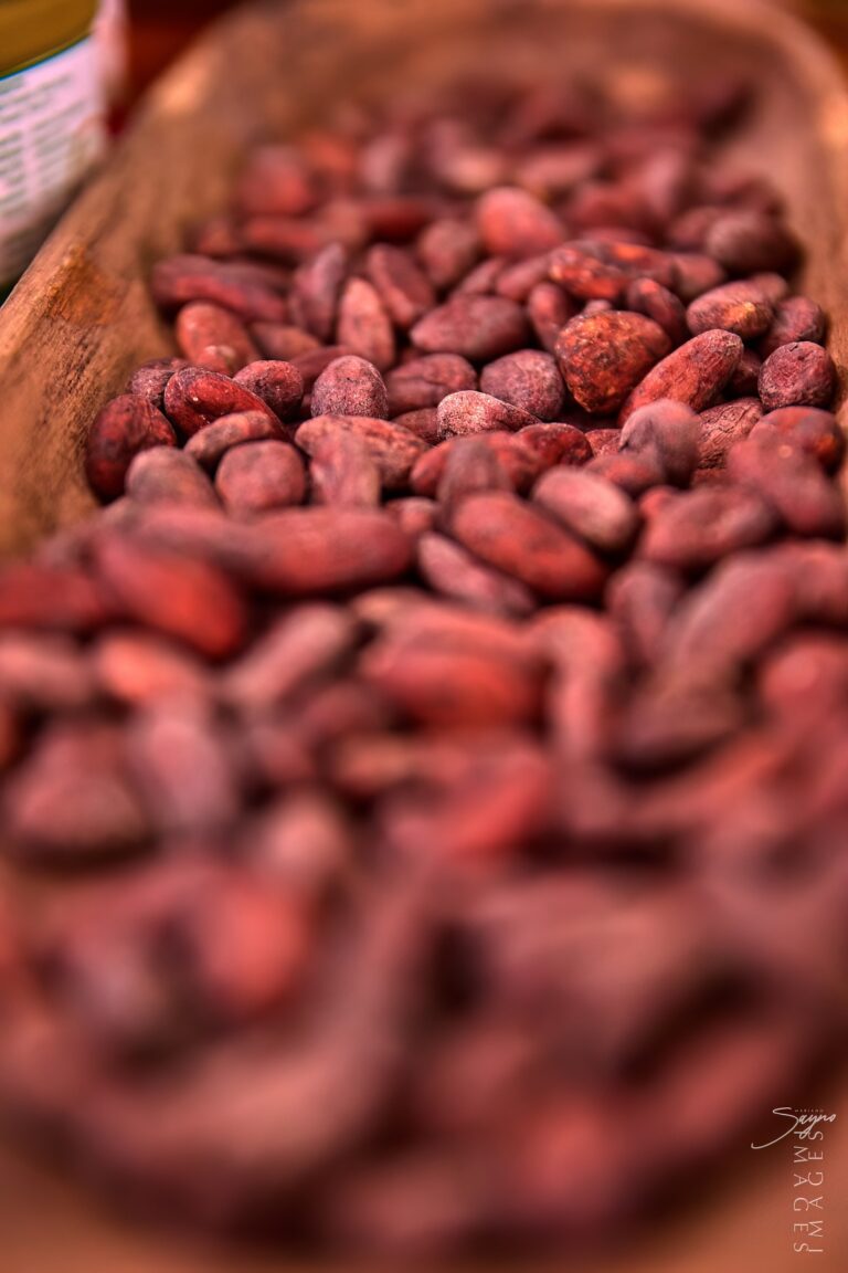 Dulche Chocolates 2025-11-19 PS529780 Mariano Sayno